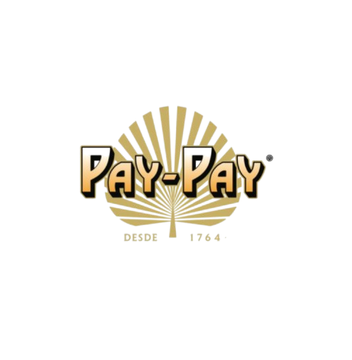 Logo-PayPay