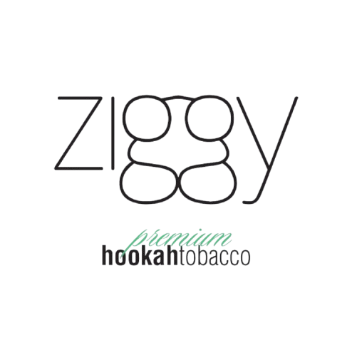 Logo-Ziggy